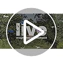 Birdfy 2 Smart Bird Feeder with Camera, Dual-Lens (2K+1080P) Camera for Live Streaming & Close-Up Photos, AI Identifies Bird Species, Solar-Powered Backyard Birdwatching Gift
