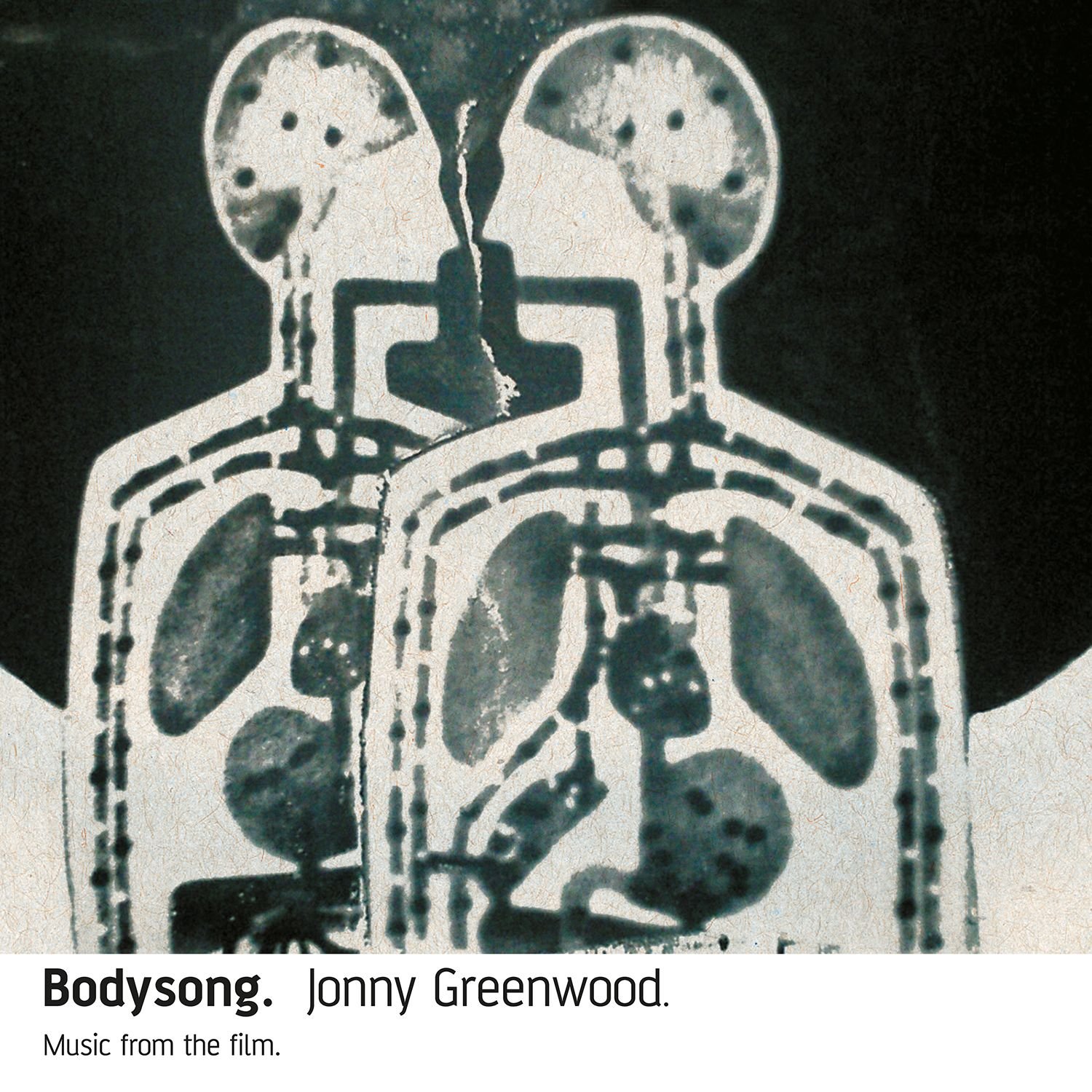 Bodysong [VINYL]