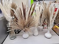 Review Image by Sam P