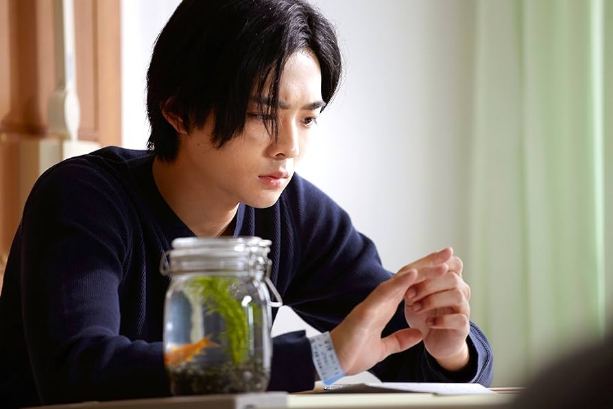 Amazon.co.jp: 泣き虫ピエロの結婚式 [DVD] : 志田未来, 竜星涼