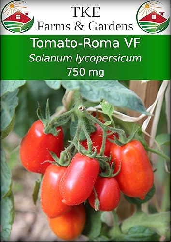 TKE Farms & Gardens, Roma VF Semillas de tomate para plantar, 750 mg aprox. 250 semillas, Solanum lycopersicum