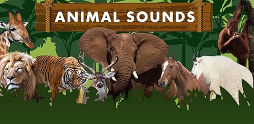 Animal Sounds for Kids