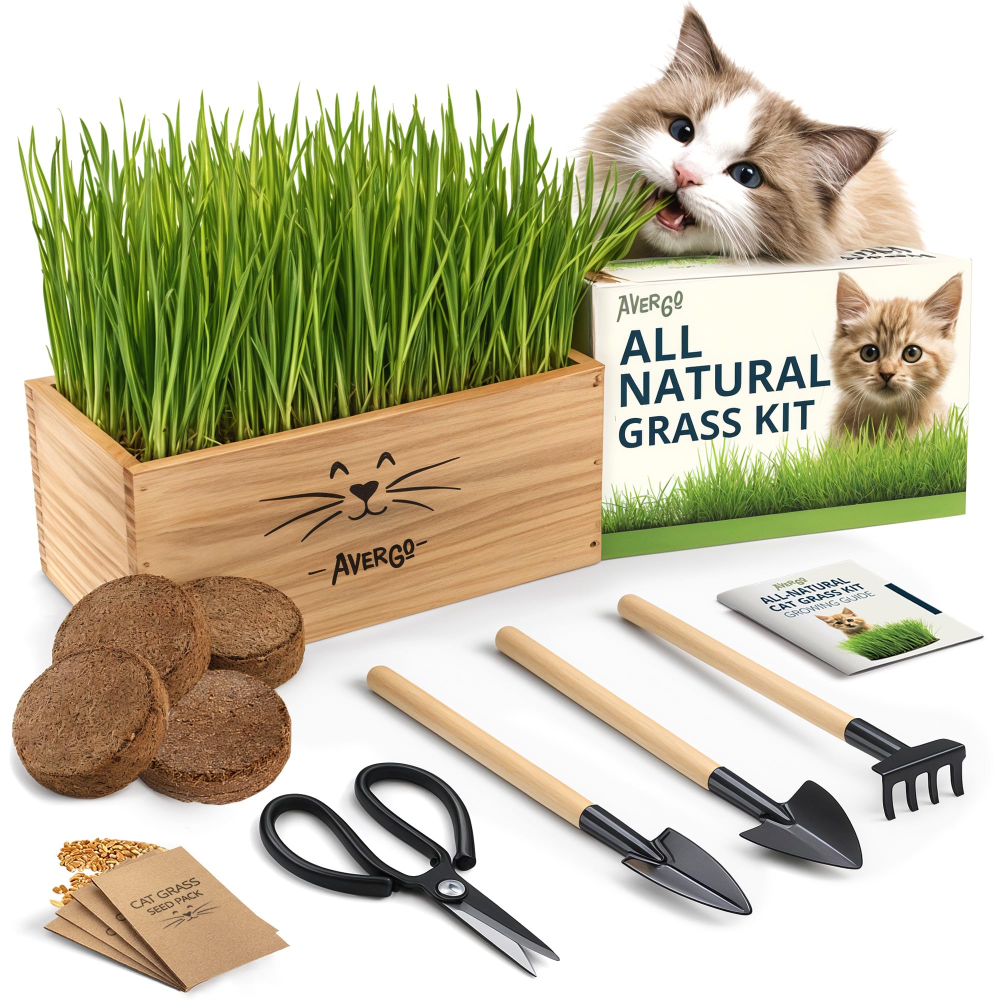 Cat Grass Kit for Indoor Cats – x4 Seed Packets | Cat Grass Seeds with Wooden Planter, Soil & Mini Gardening Tools for Nipping – Pet Wheatgrass Grass