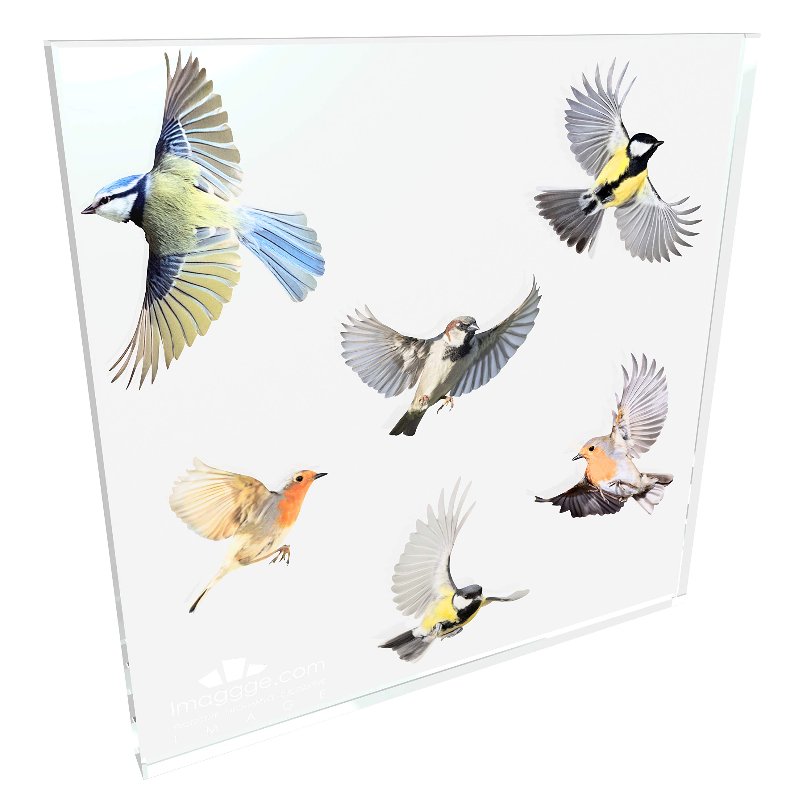 Decoratie Vogels voor Je Interieur en Tuin