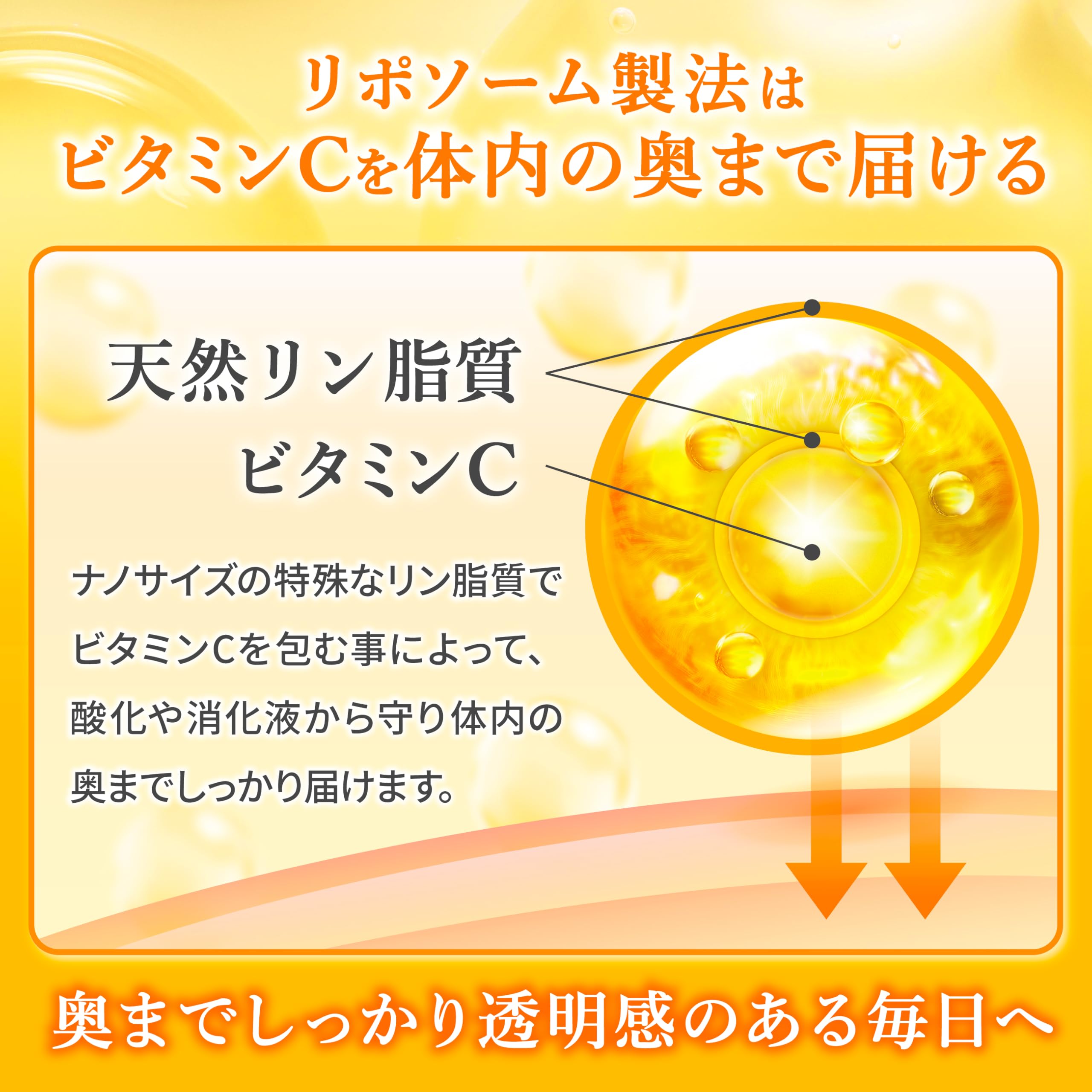 Amazon | リポソームビタミンC 100% 日本製 リポソームビタミンC(1日