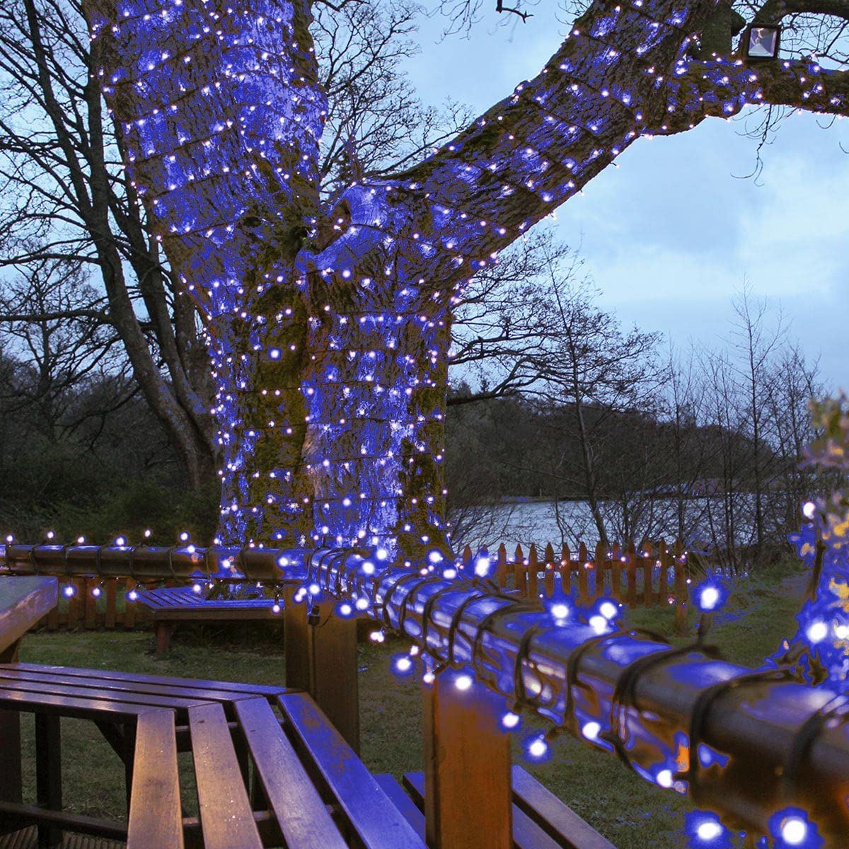 Festive Lights - ConnectPro Outdoor LED String Fairy Lights - Connectable - IP65 Rubber Black Cable | Wedding, Christmas, Garden, Commercial, Party (Blue w/Plug, 20m)