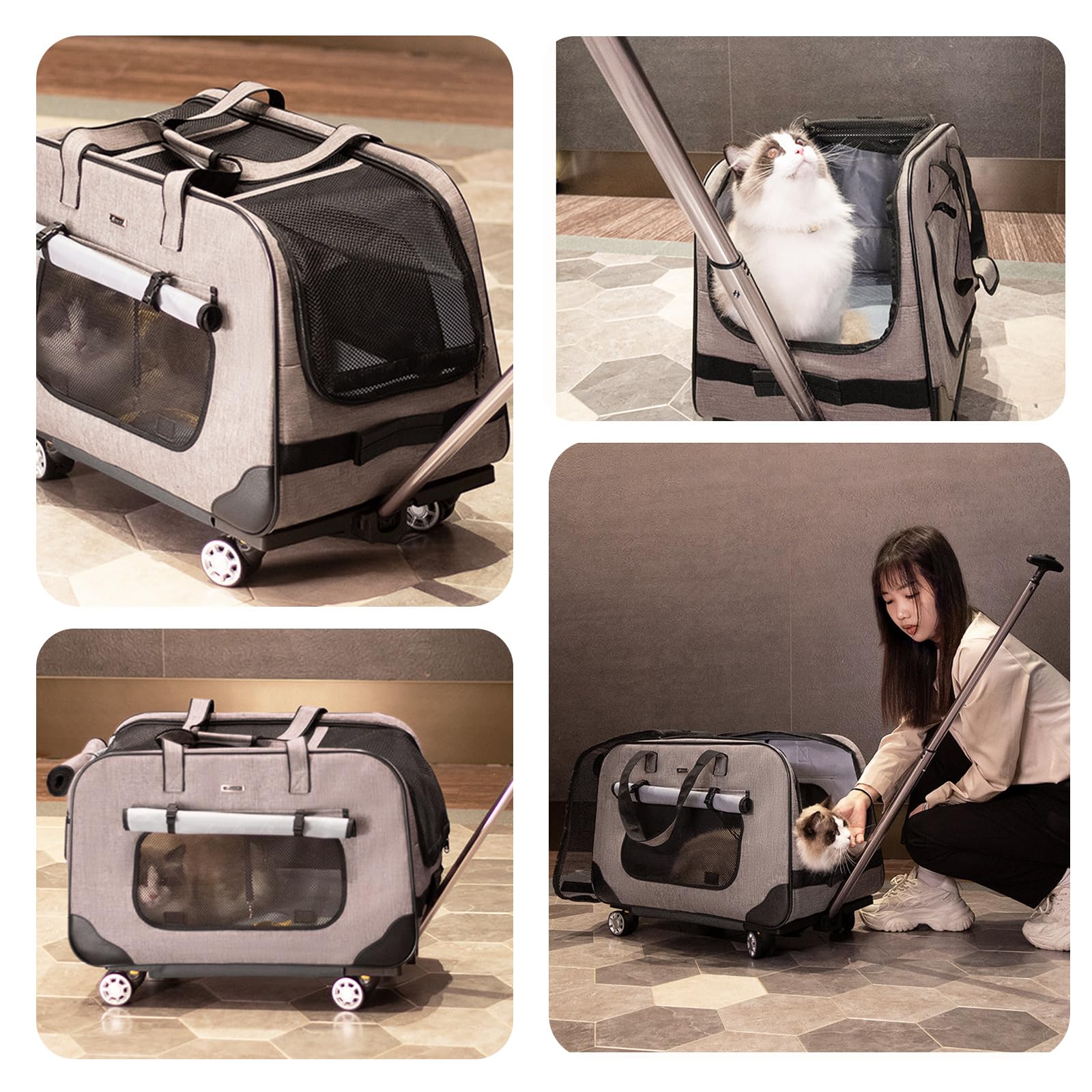 PETCUTE Transportín para Mascotas con Ruedas y Asa Telescópica,Plegable Bolso de Transporte para Gatos y Perros con Alfombrilla Extraíble,Cinturón de Seguridad,Transportín Gato,Carga Máxima 17.5kg