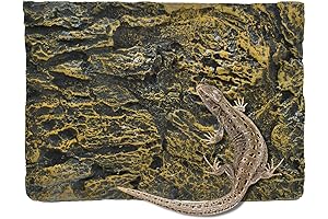 3D Reptile Tank Background: Essential Terrain for Your Scaly Companions