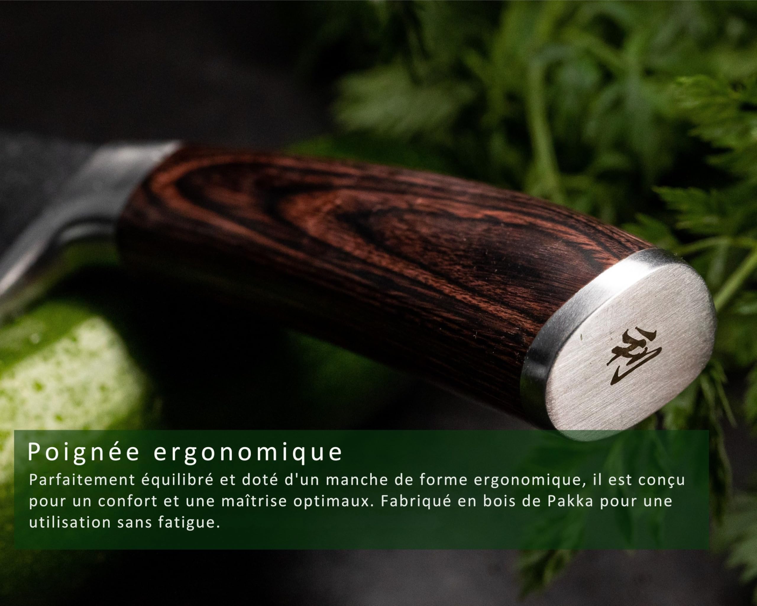 WAKOLI EDIB Set of 6 Professional Damascus Steel Kitchen Knives | With 67-layer blades, VG10 core, Pakkawood handles, left and right handed users, elegant gift box