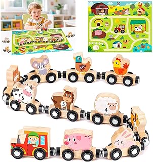 Montessori Toy from 1 2 3 Years: Magnetic Train Wooden Toy from 1 2 Years Motor Skills Toy from 1 Year, Wooden Train Children's Toy from 2-3 Years Baby Gift 1 2 3 Years Birthday Boy Girl