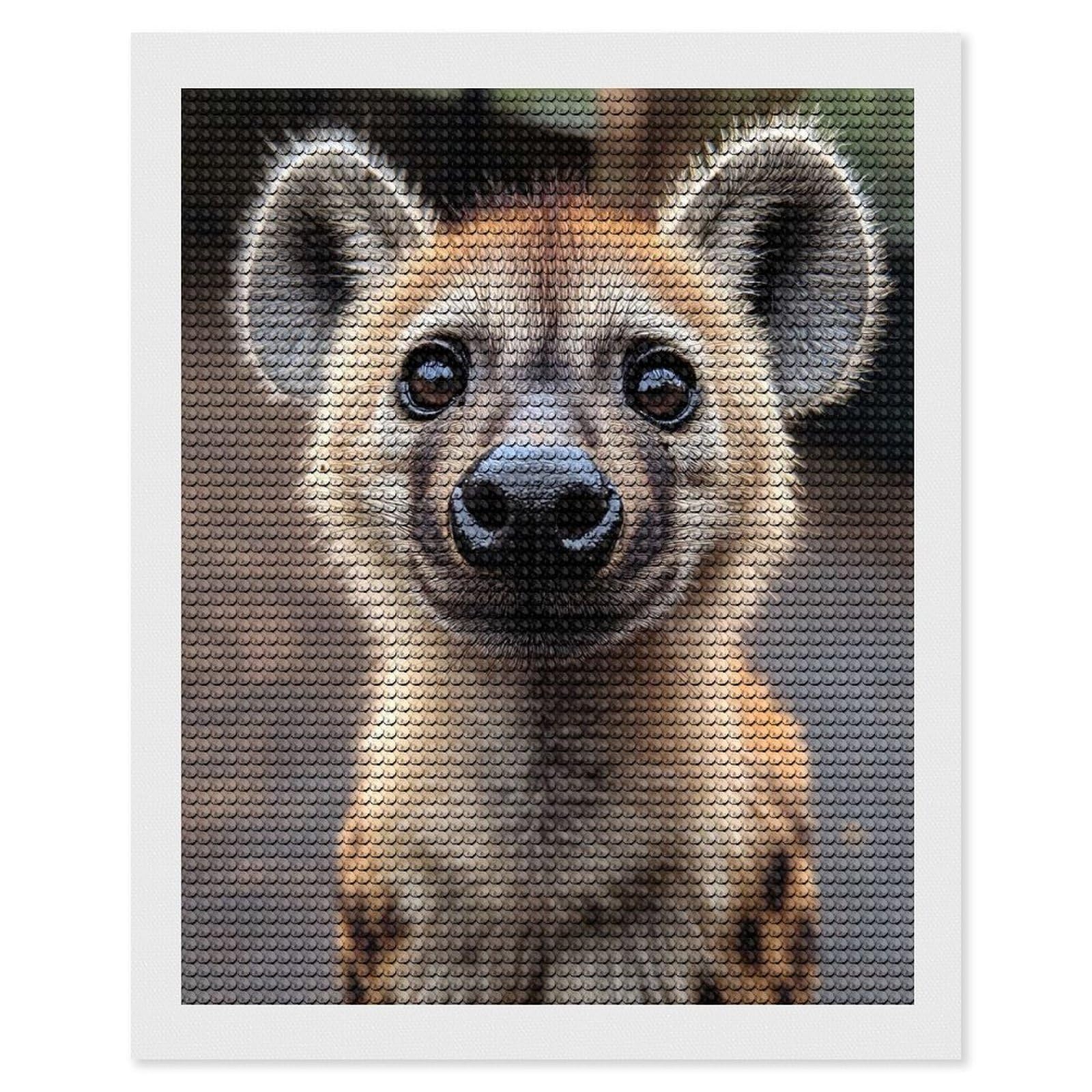 Junmoney Close-up of A Smiling Hyena Diamond Art Kit 16"x20", Neat Printed Canvas, Finish and Display, Relaxing DIY Hobby, Living Room Decor