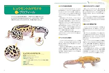 ヒョウモントカゲモドキ完全飼育 品種図鑑 暮らす本 レオパの教科書