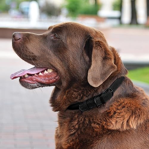 Miniatura 8 de Collar de cuero enrollado para perro, collares redondos y suaves, con placa de identificación, para perros pequeños, medianos o grandes, cuello de 9