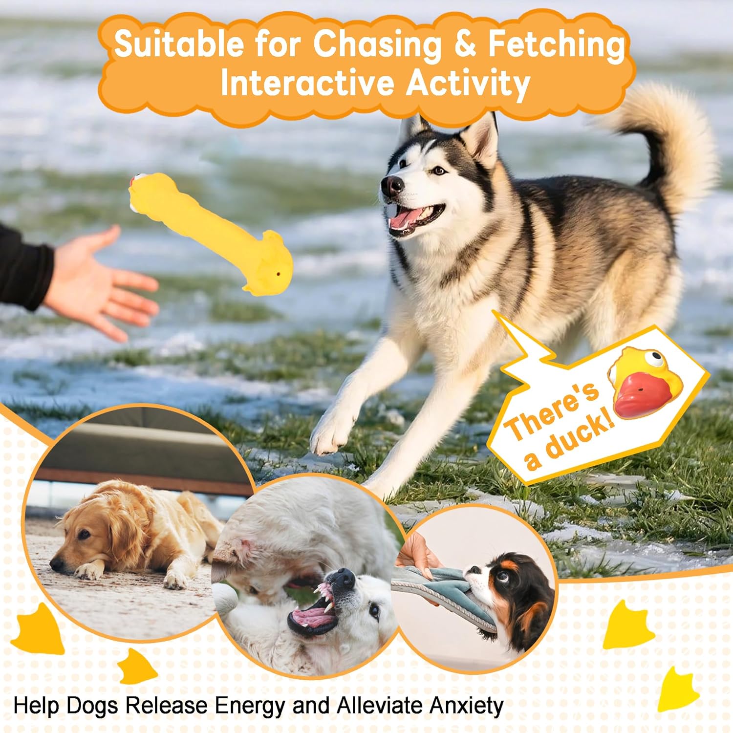 Rubber Chicken Dog Squeaky Toys, Durable Latex Chew Toys for Small Medium Large Size Dogs, Teething Puppy Dogs (3 Pack-Large)