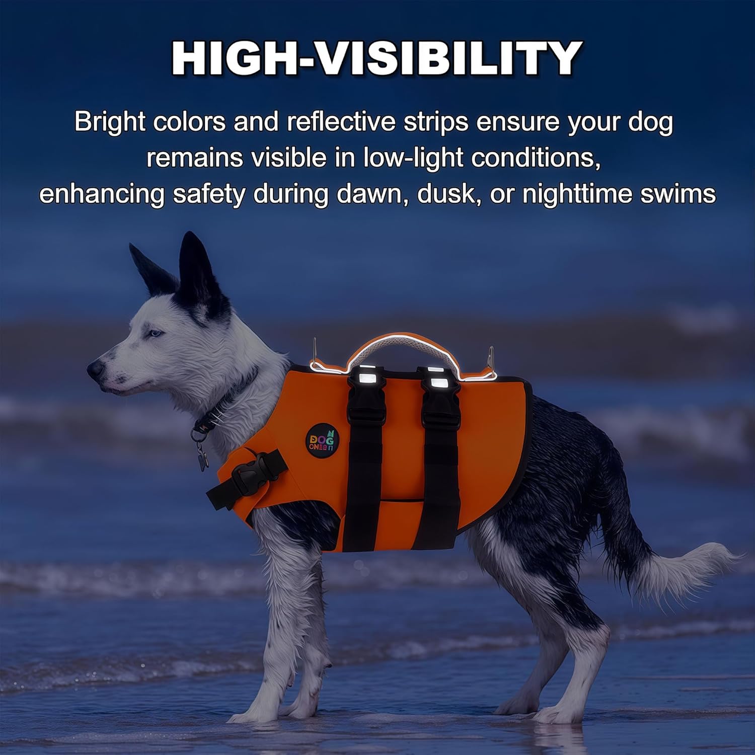 Image not found