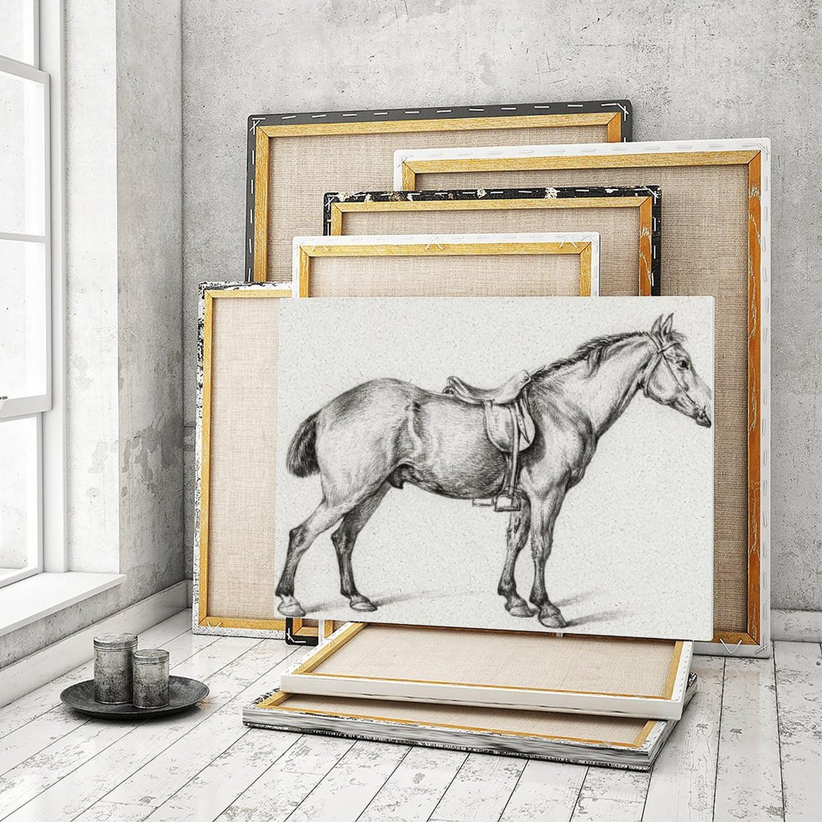 Amazon | 立っている馬 数字キットによる絵画 数字油絵 黒と白の鉛筆画