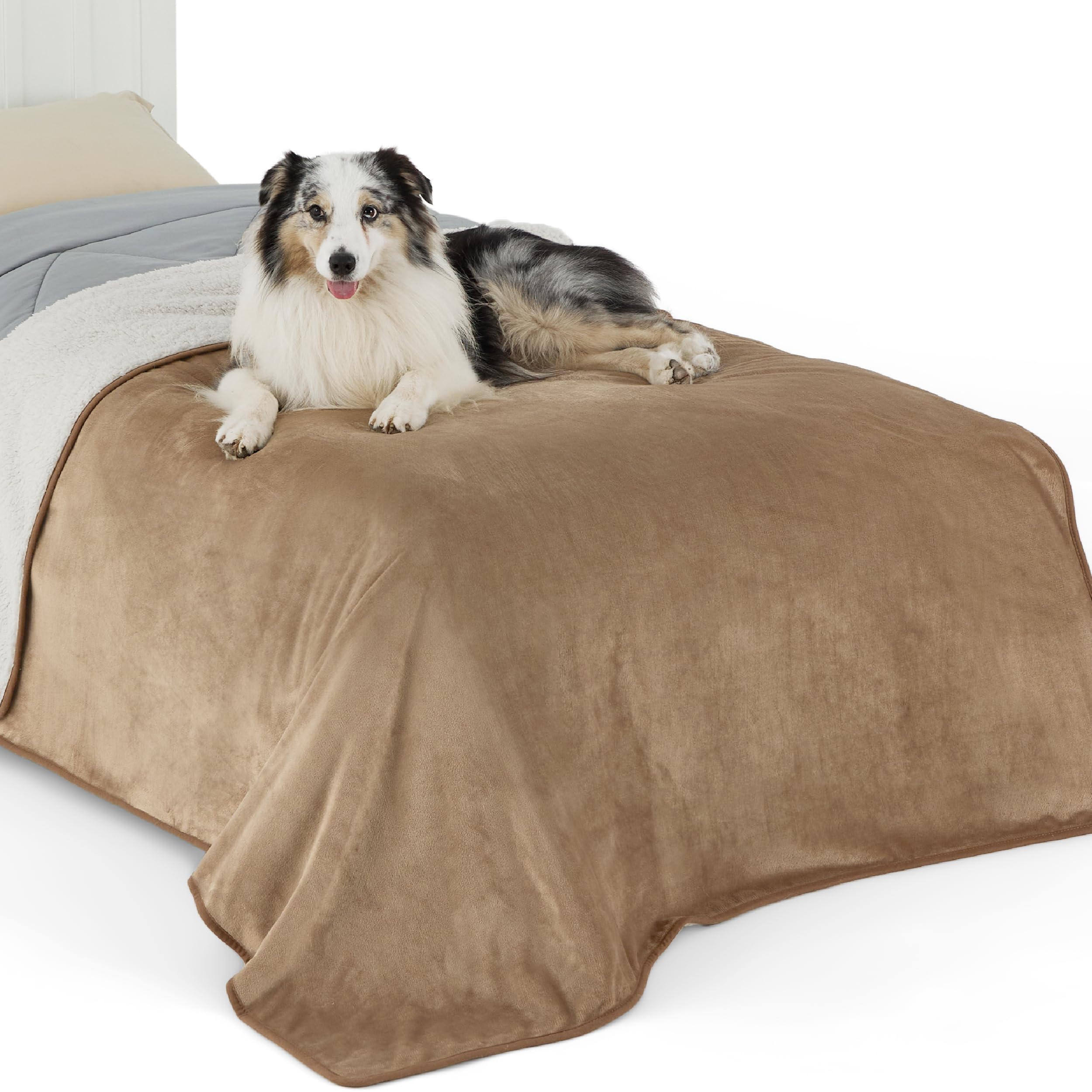 Couverture imperméable pour chien et protection canapé lavable 152x203cm LE SURE plaid polaire chat