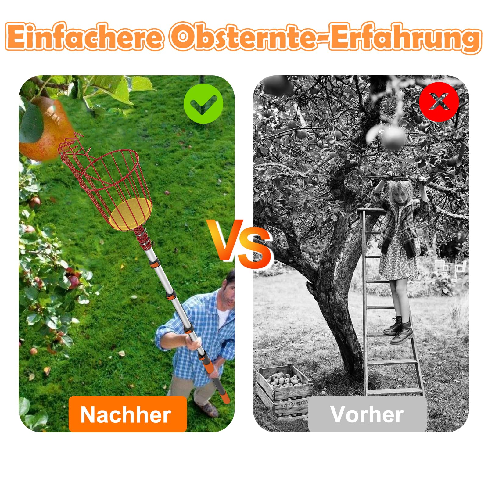 SISIUPASSIE 6m Obstpflücker mit Teleskopstiel – Apfelpflücker mit Großraum-Obstkorb, Pflückhilfe zum Pflücken von Äpfeln, Zitronen, Orangen, Mangos, Avocados