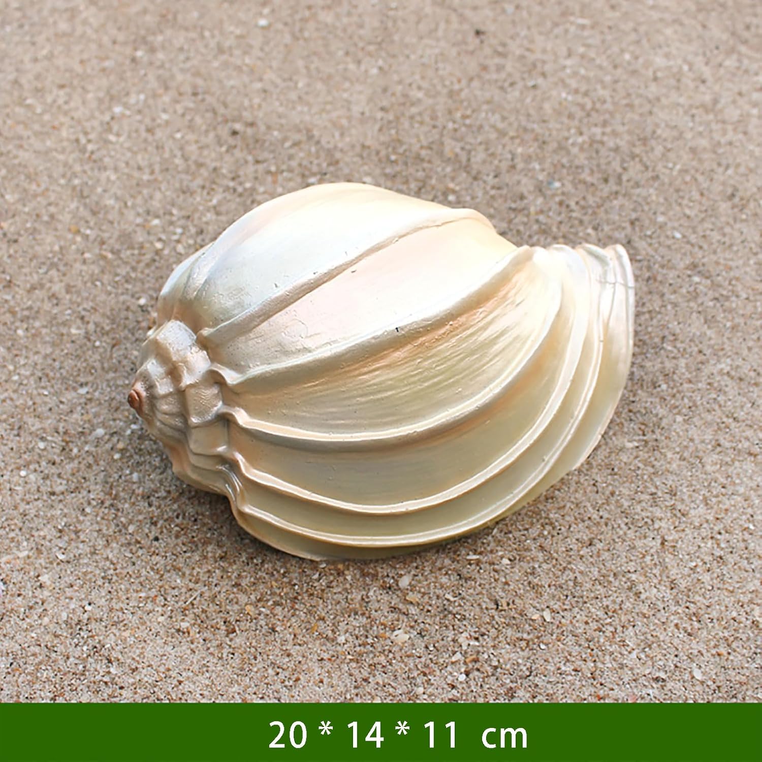 Sea shells,conch shell, Shell Decor for Beach Theme Party Wedding Home Decor DIY Crafts Fish Tank