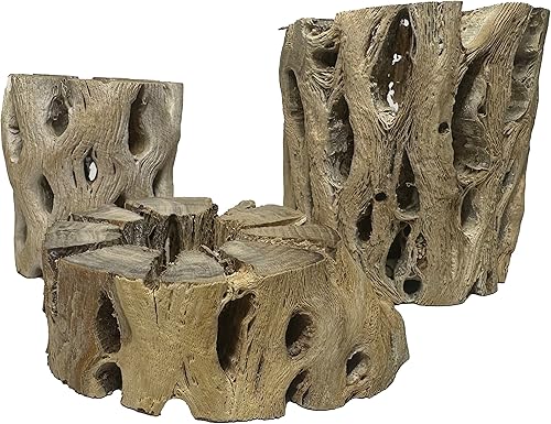 Vista 26 de Soportes de exhibición de plantas de aire grandes de madera cholla natural, soportes decorativos individuales únicos o soporte