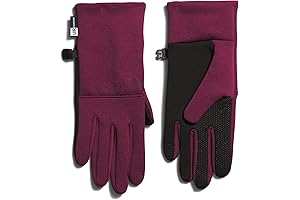 Women's North Face Etip Recycled Glove