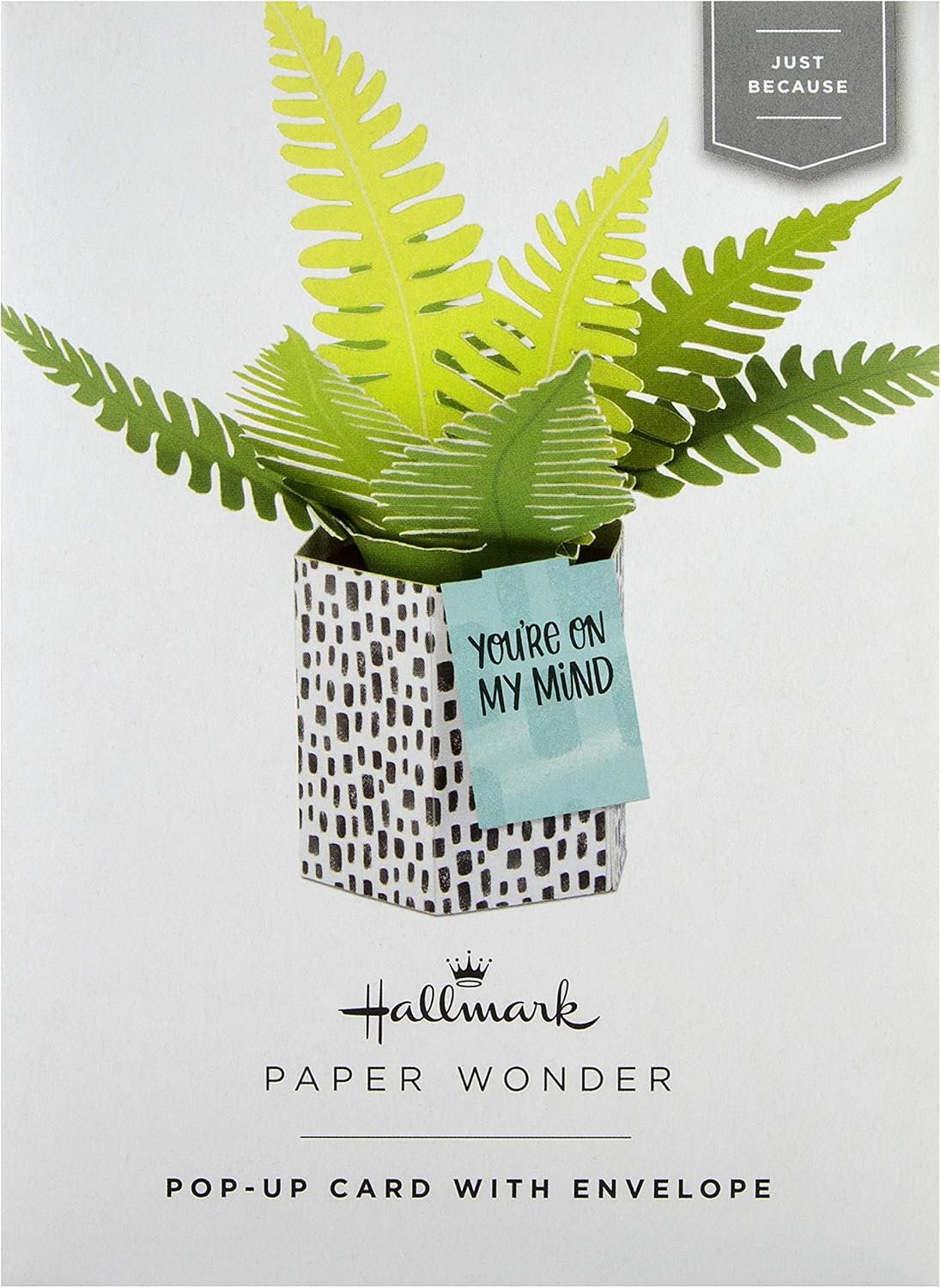 Hallmark Pop Up Card - Contemporary Fern Plant Design