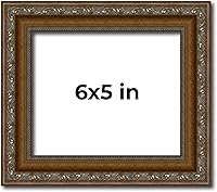 Vista 237 de Marco de fotos completo de madera dorada envejecida de 16 x 20 pulgadas con plexiglás acrílico UV, parte trasera de tablero de espuma y accesorios