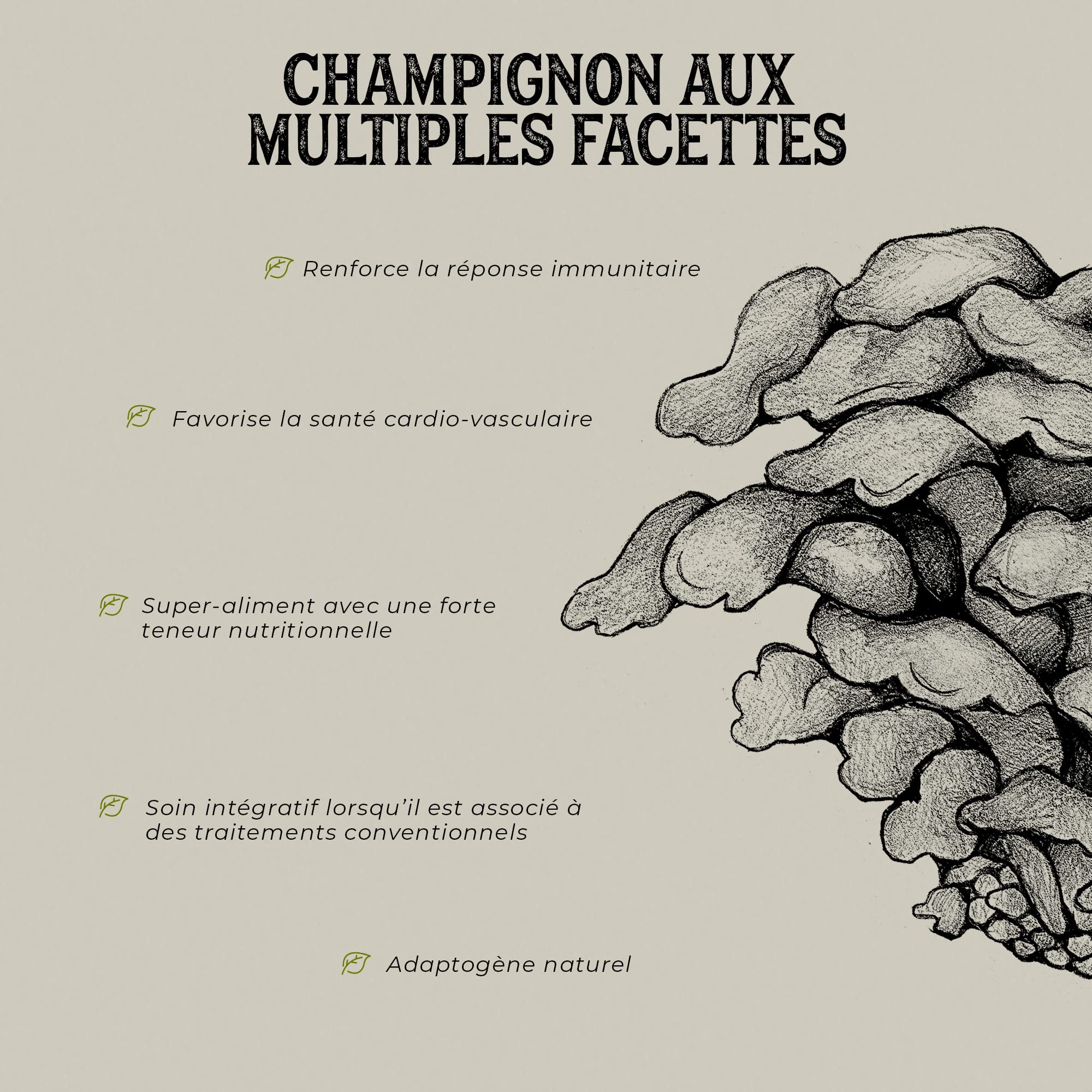 Maitake Bio * Plantae * 60 gélules végétales * Renforce le système immunitaire + Santé cardiovasculaire + Super-aliment *
