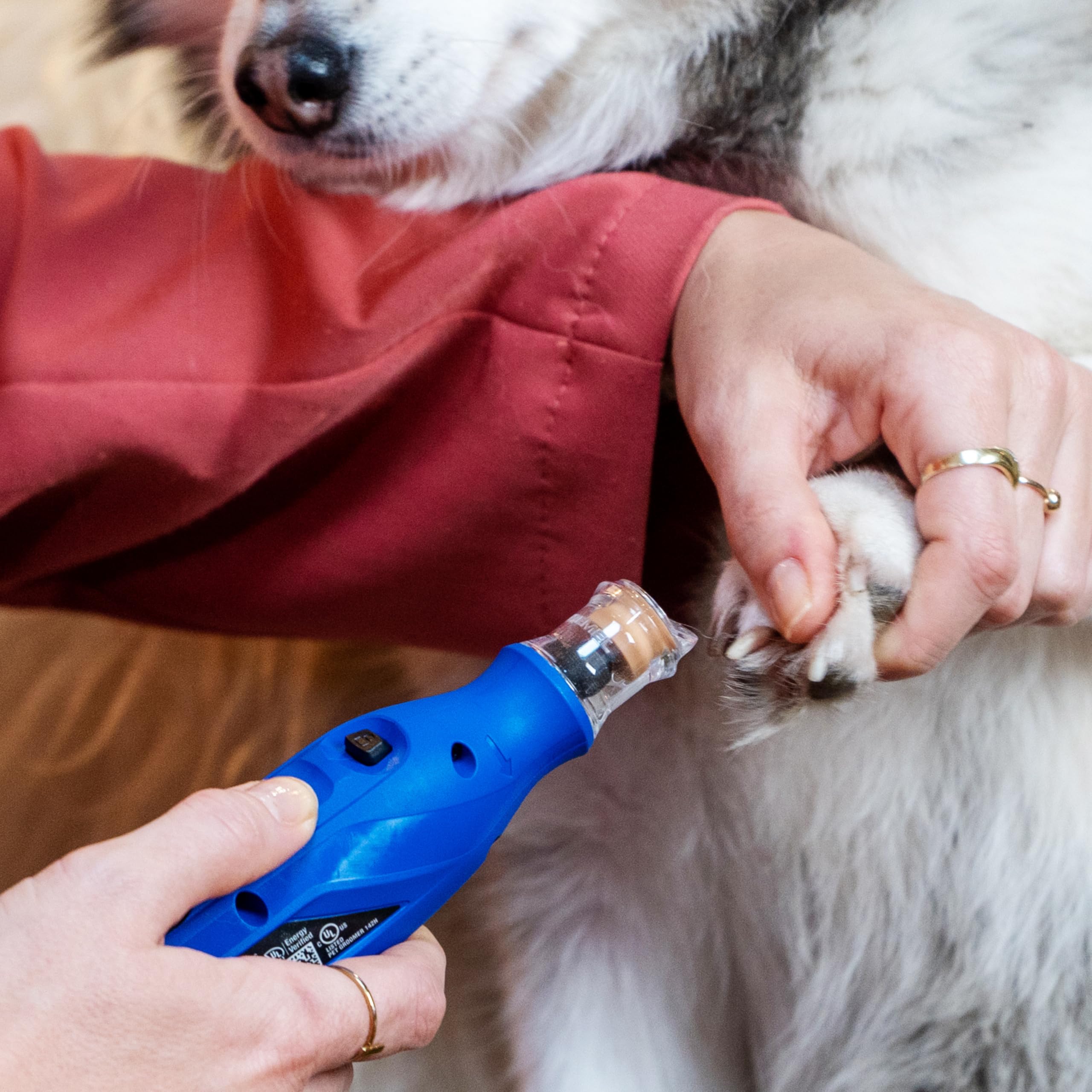 Dremel 7350 PET Krallenpflegese mit 3.6V Akku-Rotationswerkzeug Einfach zu bedienende, leichte Krallenschleifmaschine mit 2 Schleifzubehören, 1 Schutzhaube & 1 USB-Kabel geeignet für Hunde und Katzen