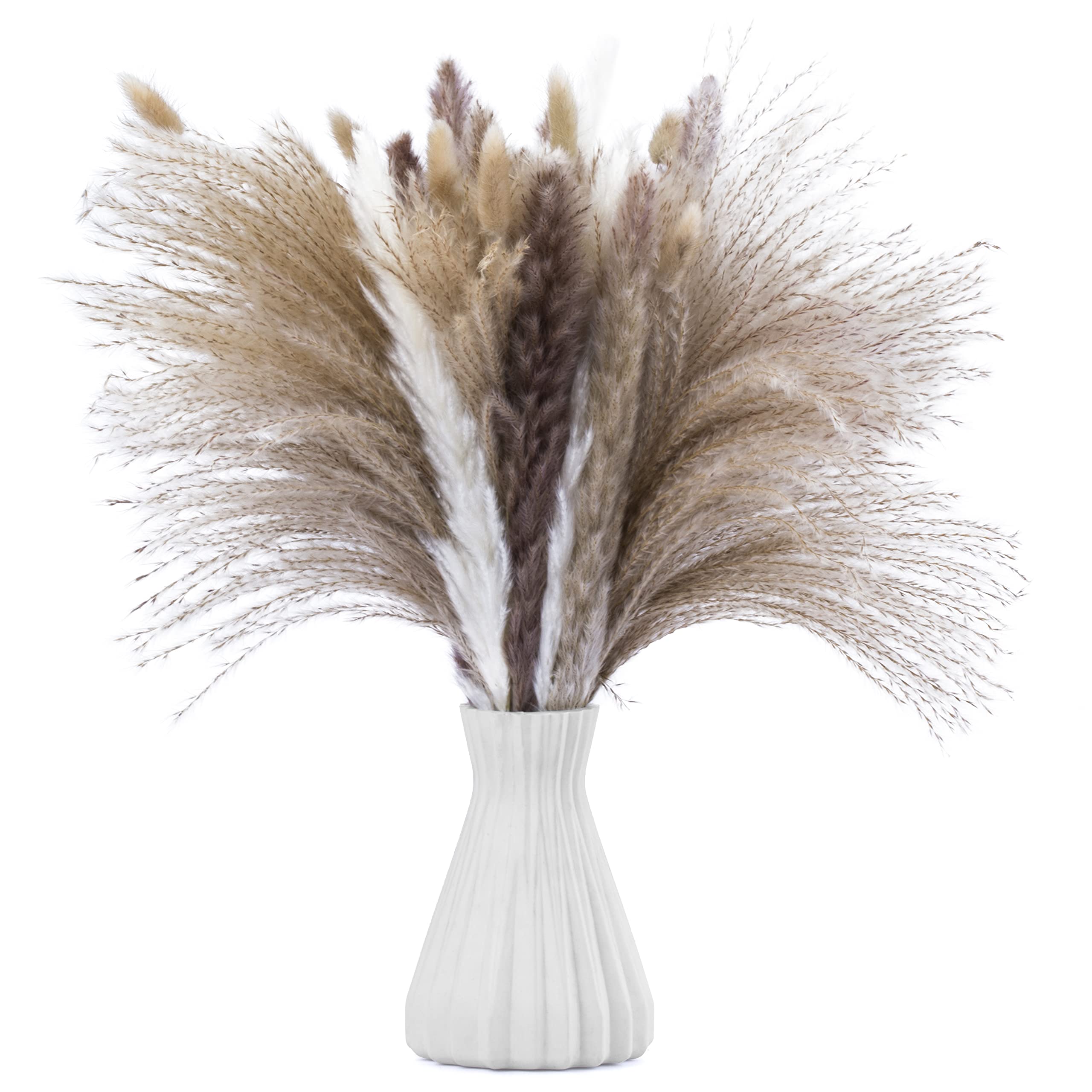17 inch Dried Pampas Grass Decor, 80 Pcs Fluffy White & Natural Color Boho Flowers, Bunny Tails & Reeds for Home Decor, Weddings and Gift to Loved Ones