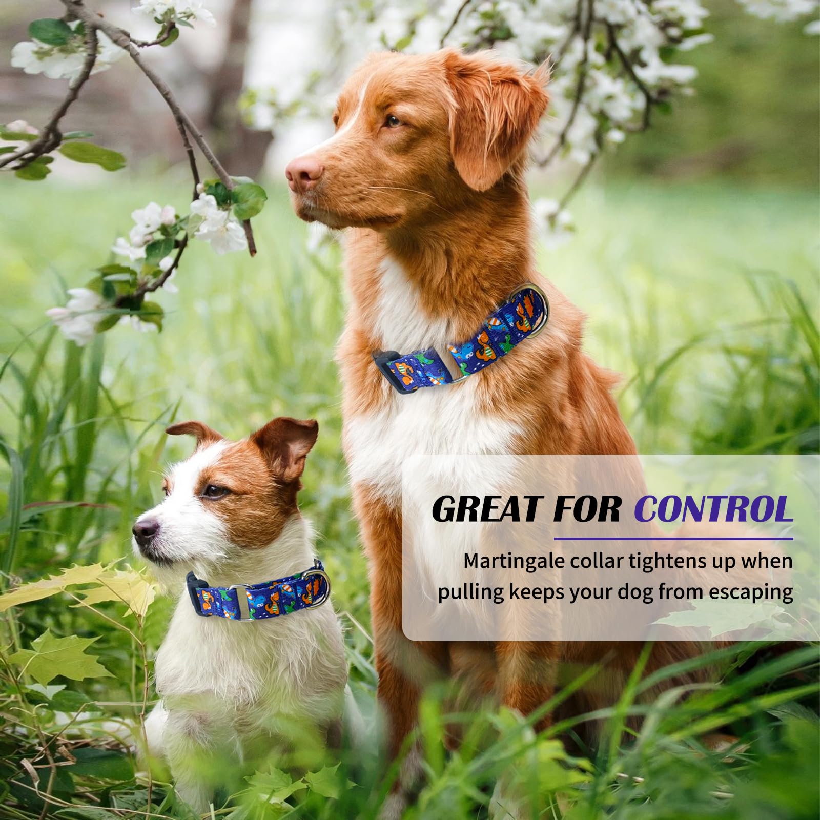 Hikiko Martingale Halsband für Hunde, niedliches Dinosaurier-Hundehalsband für kleine, mittelgroße und große Hunde, bequemes Nylon, lustige Hundehalsbänder (Dinosaurier, klein)