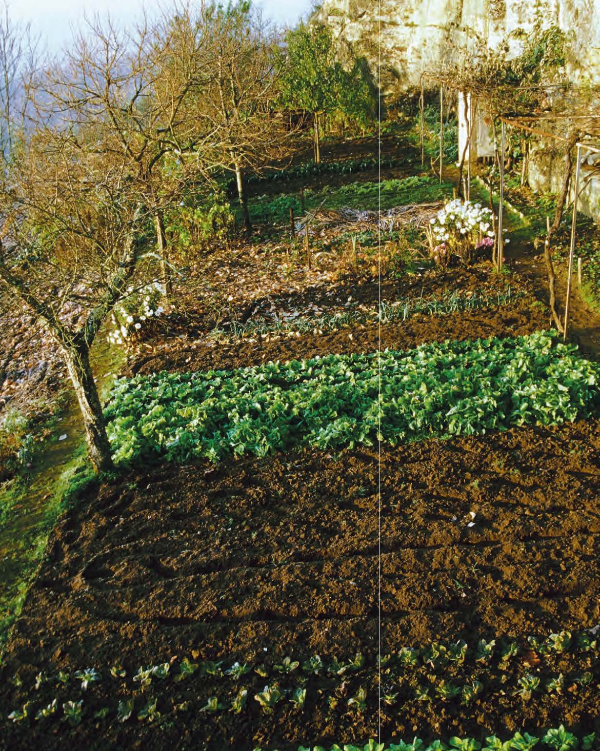 Le traité Rustica du potager bio