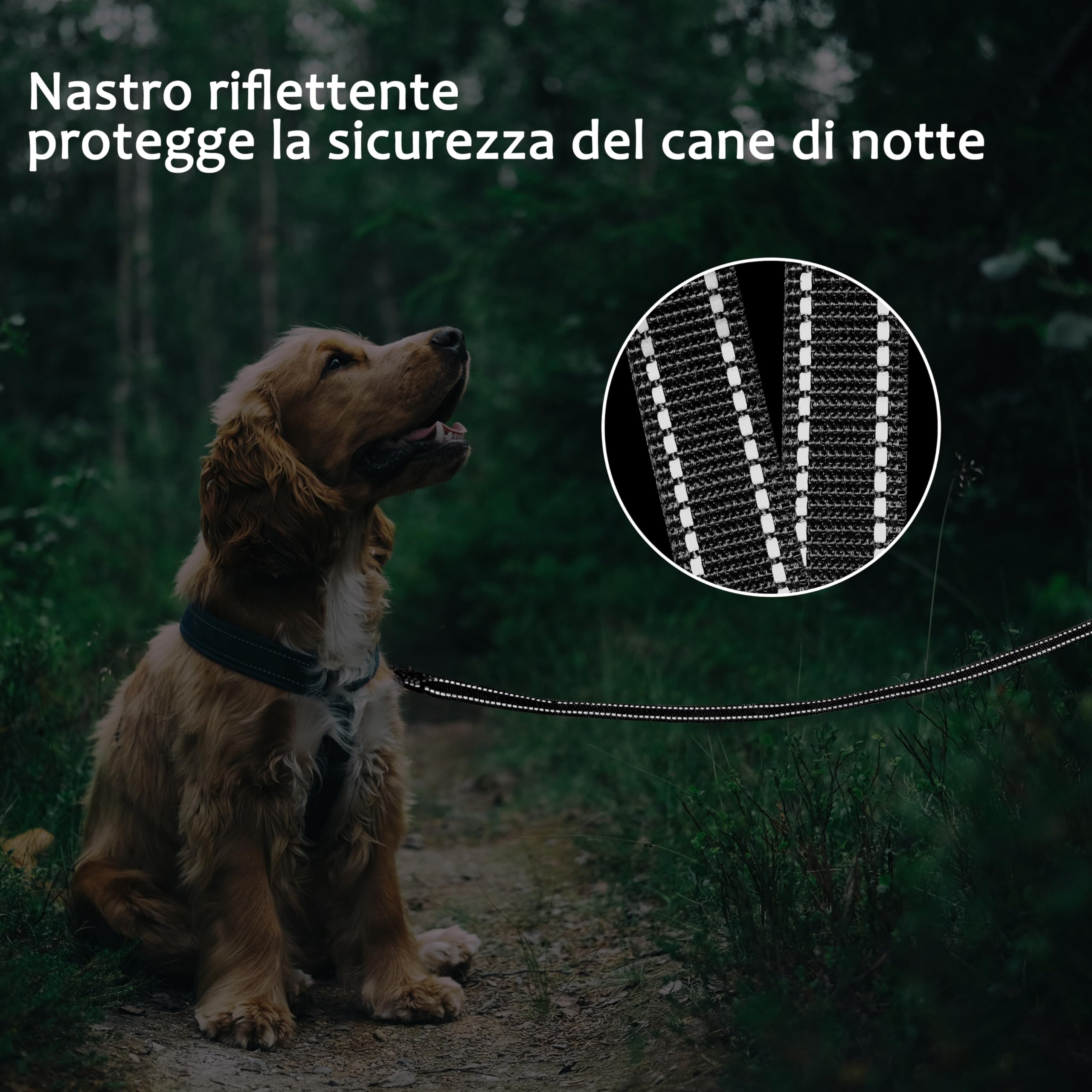 COMSLE Guinzaglio Addestramento per Cani, Lunghina per Cane Cani 3 metri / 5 metri / 10 metri / 15metri / 20metri con Gancio Robusto e Manico Imbotita, Guinzaglio per Cani Piccola e Taglia Grande