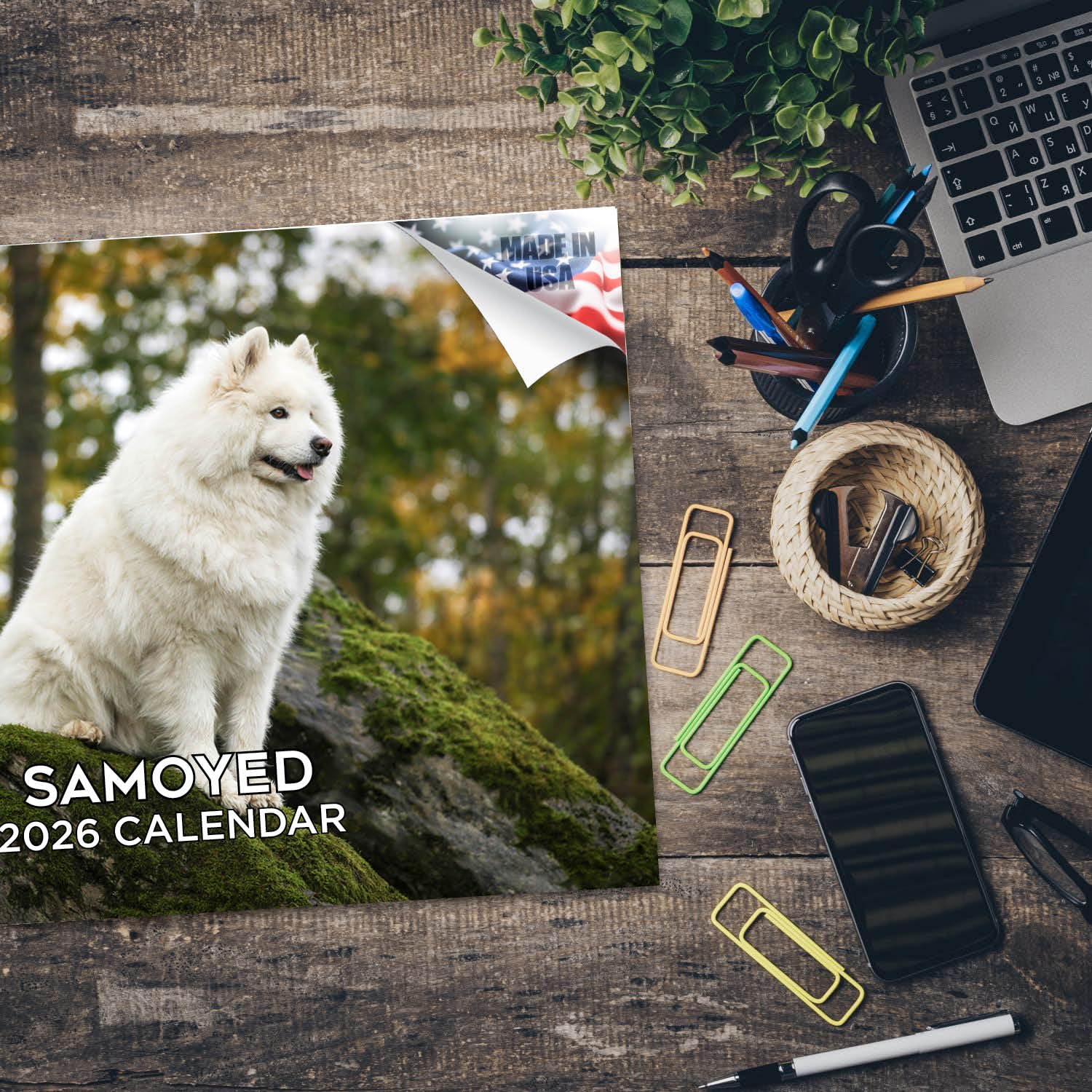 2024 2025 kalendarz samojed, miesięczny kalendarz ścienny z rasą psów, 30 x 45 cm, otwarty, gruby papier bez przebarwień, prezent - akademicki planer nauczyciela, kalendarz, organizowanie i planowanie