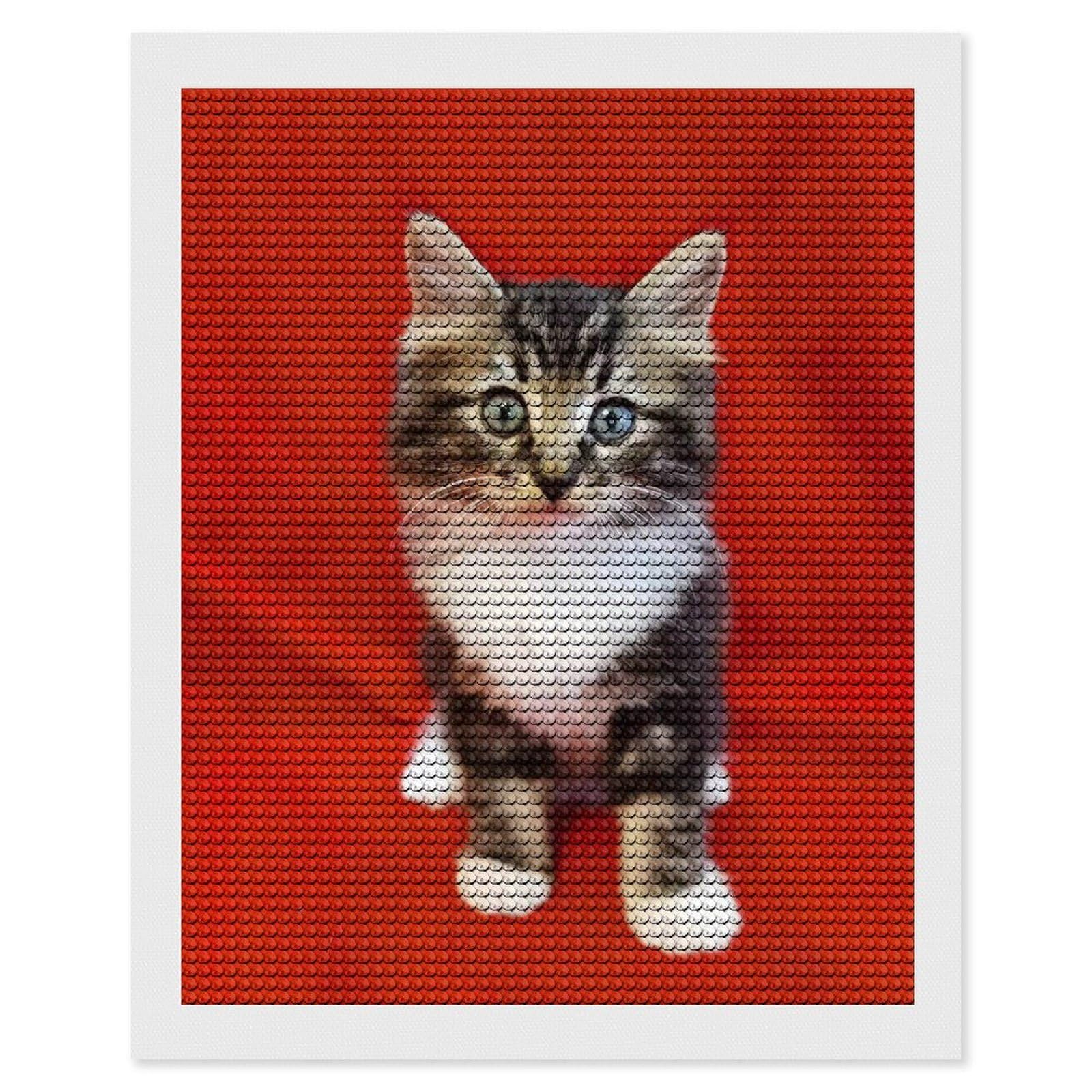 DWVTSLH Cat Red Diamond Painting Kits for Adults, Personalized Diamond Photo Art Full Drill, DIY 5D Diamond Art Painting Kits for Beginners, Home Wall Decor 16"x20"