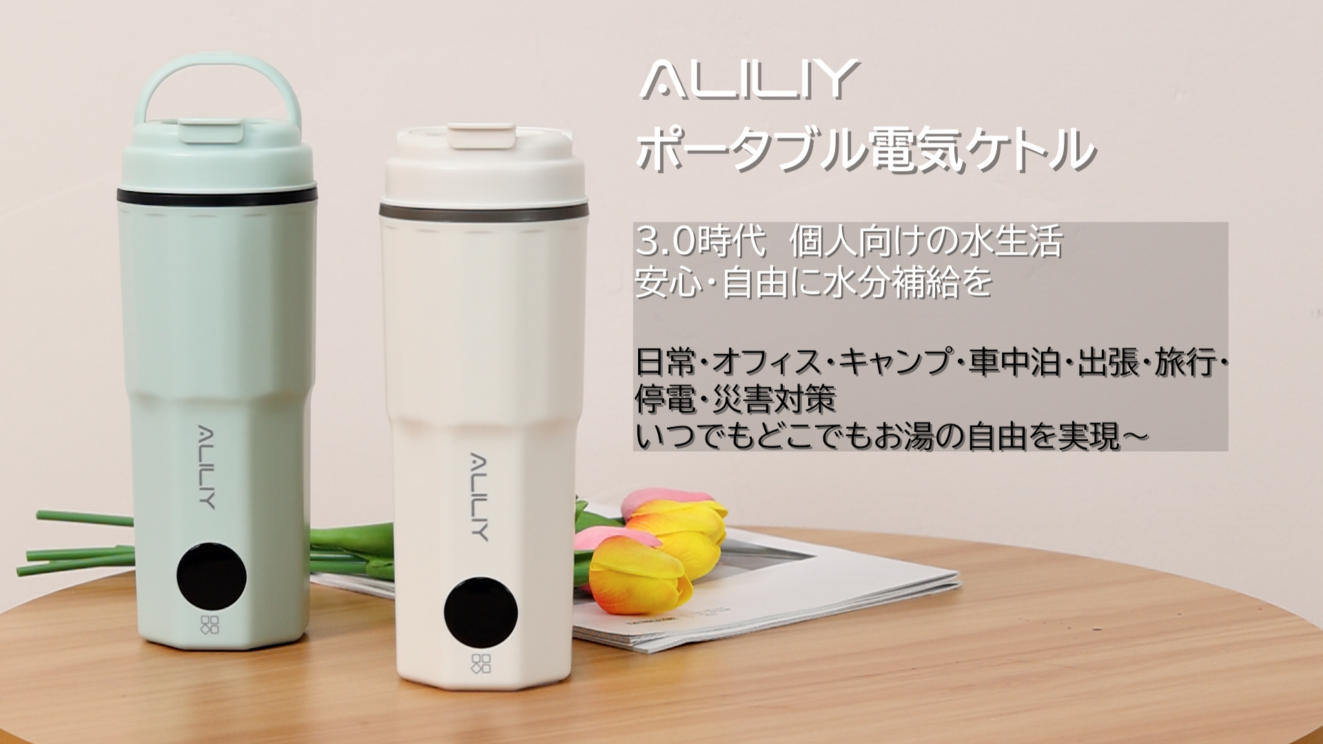 ALILIY ポータブル電気ケトル ポータブルケトル小型 6段階温度調節