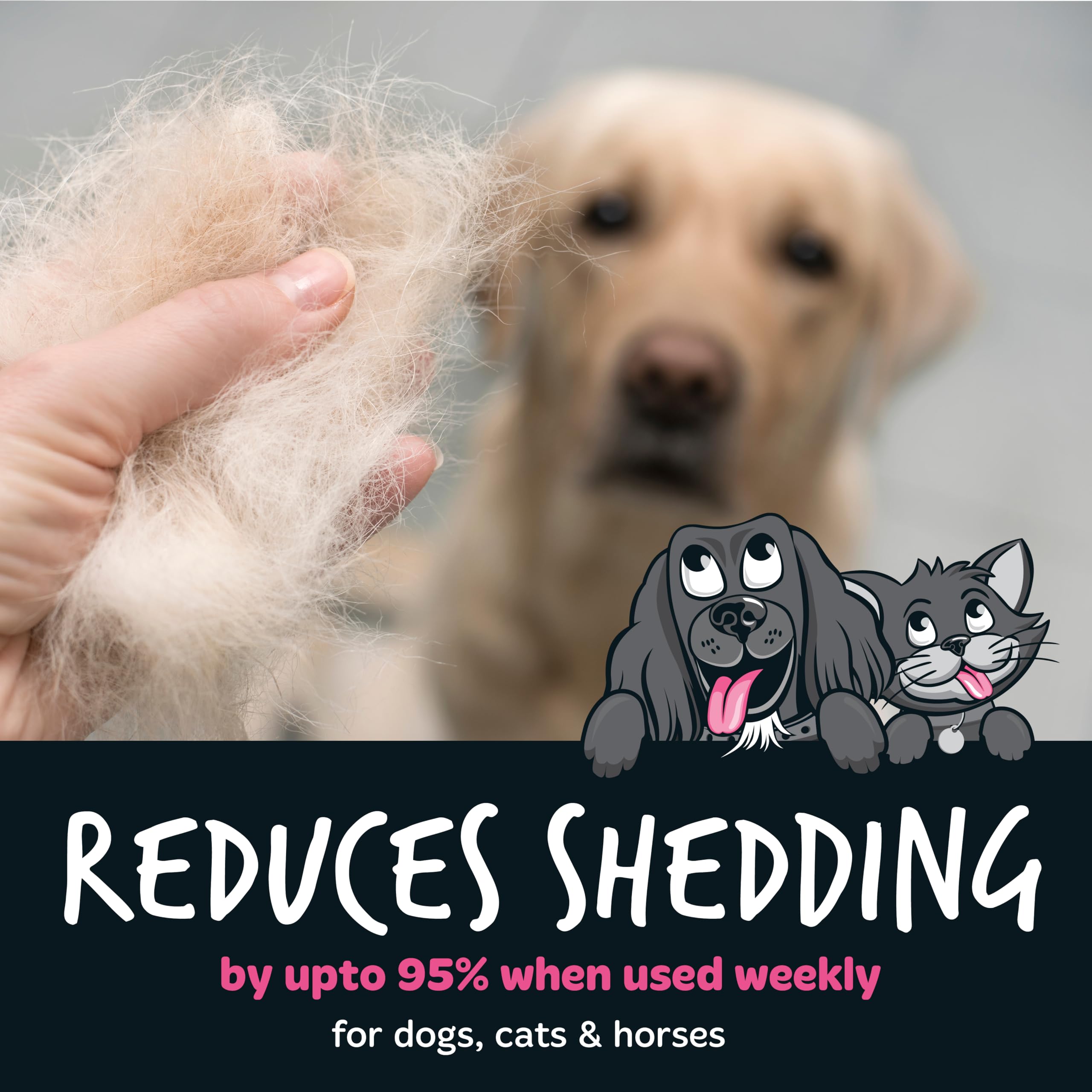 Bugalugs Deshedding Brush for Dogs Cats, Horses, Pet Grooming Tool that is Gentle & Effective With Wide Shallow Comb - Image 2