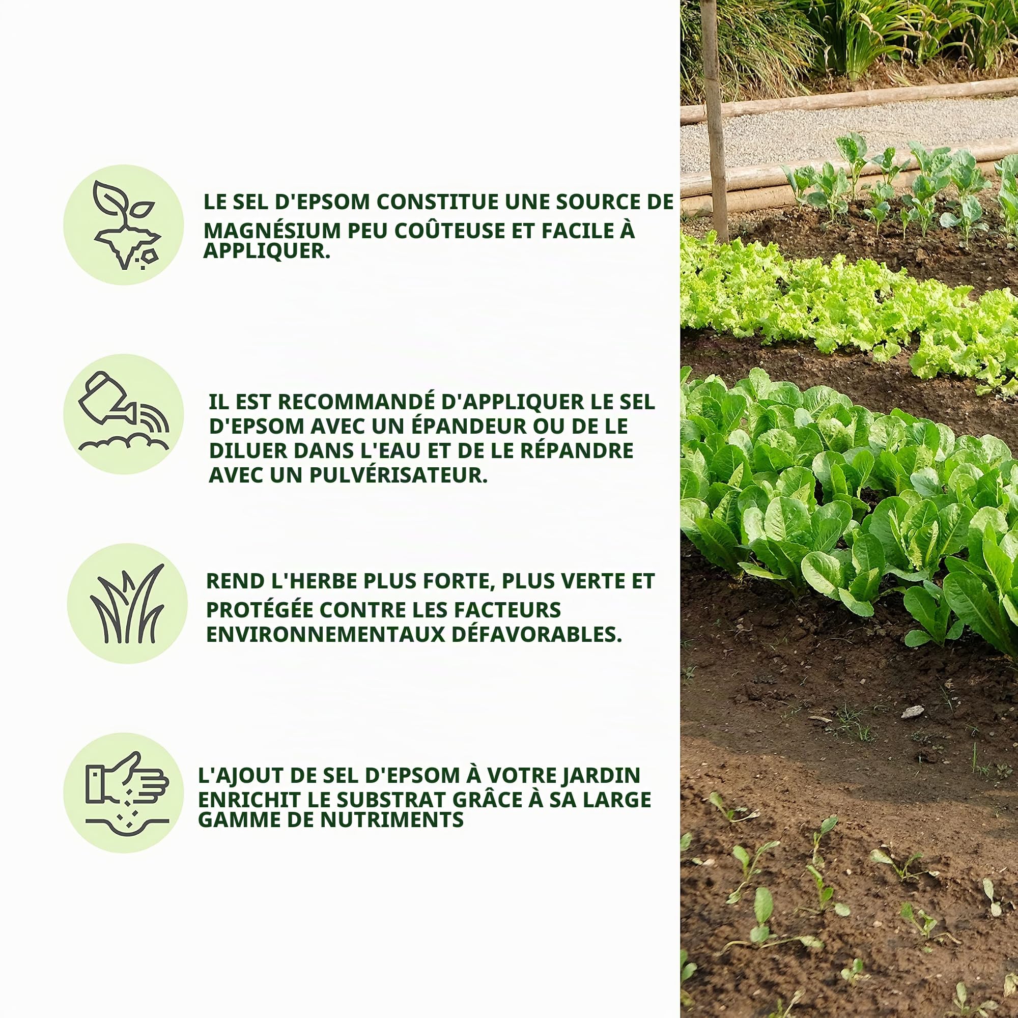bleu & marine Bretania Sel Epsom Engrais de Jardin Universel Écologique 7 kg Fertilisant Potager Nutriment Plantes d'intérieur, Feuilles Jaunes, Tomates, Pelouse