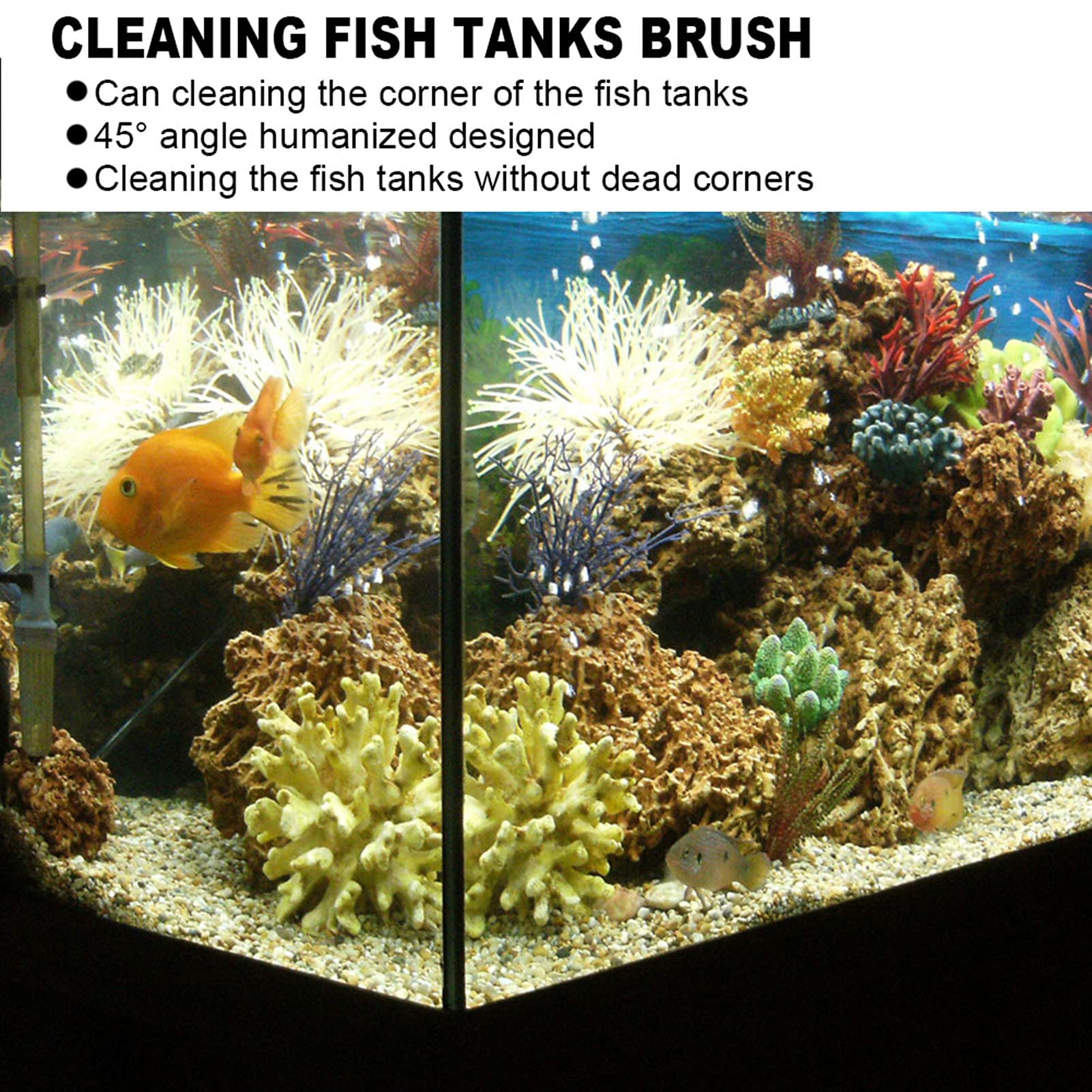 Gavigain 3 in 1 Aquarium Cleaning Kit, Adjustable Retractable Handle, Sturdy Brush Scraper Remover, for Aquarium Owners