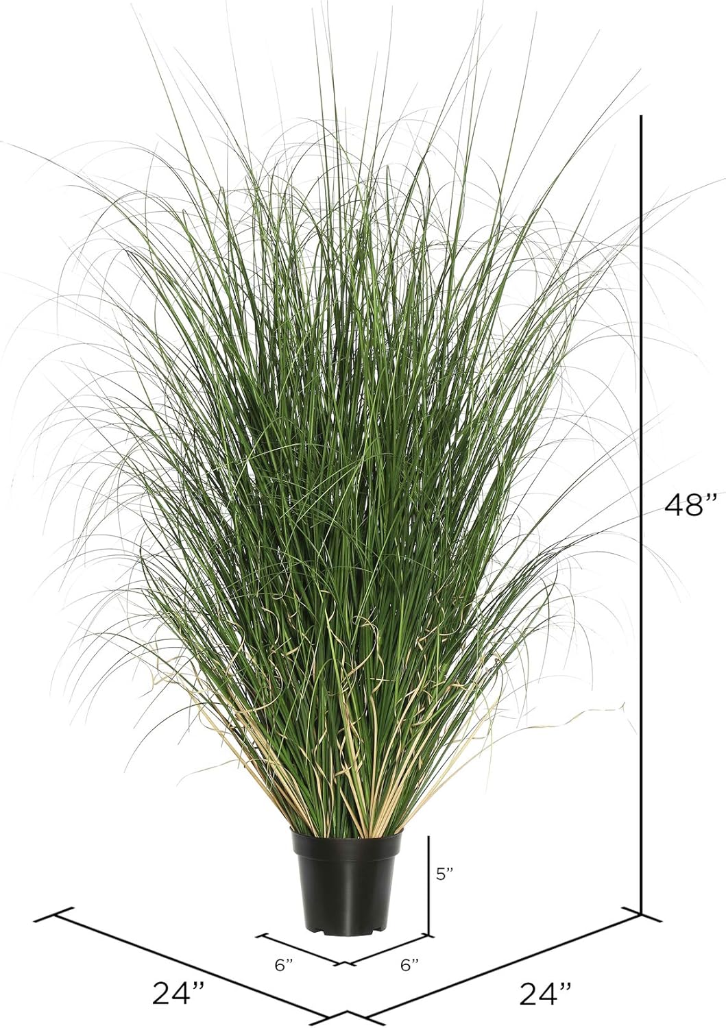 Vickerman 48" Tall PVC Artificial Potted Green Curled Grass Decor - Realistic Looking Greenery Decoration for Home Kitchen Business Office Arrangements