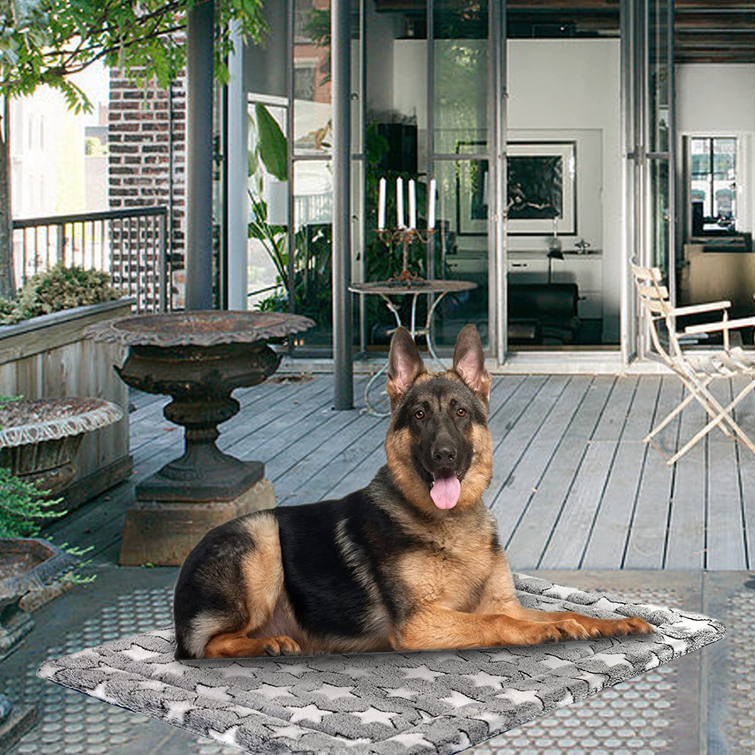 SuperKissen24. Hundematte, Katzenmatte - Reversibel Hundebett für Mittlere Hund - Bett für Hunde und Katze - Katzenbett, Katzenkissen - Flauschig Hundedecke - Waschbar Hundematratze - 80x60 cm Sterne