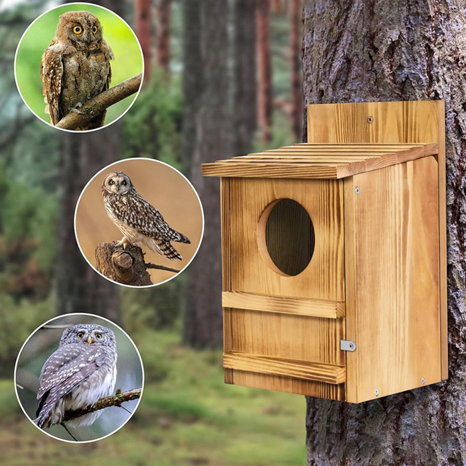 Mangiatoia per uccelli in legno con supporto per albero per decorazione da giardino all'aperto, casetta per gufi, per osservare gli uccelli selvatici