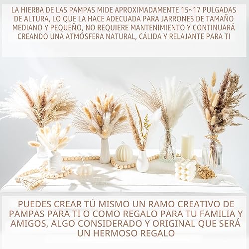 Vista 5 de 70 UNIDADES Hierba de Pampa Seca Natural Estilo Boho para Decoración del Hogar Ramo de Phragmites Flores Secas para Arreglos Florales de Boda