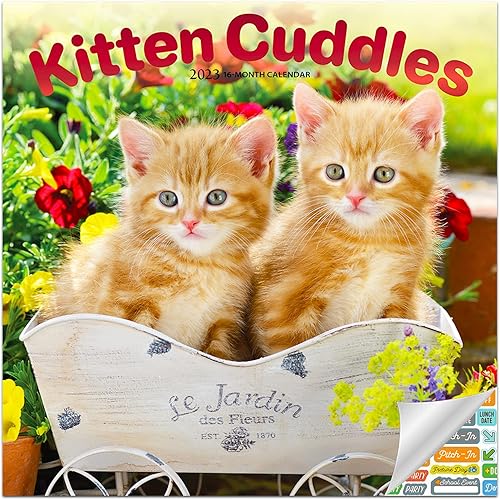 Calendario de abrazos para gatitos 2023 paquete de calendario de pared de gatitos lindos de lujo 2023 con más de 100 calcomanías de calendario