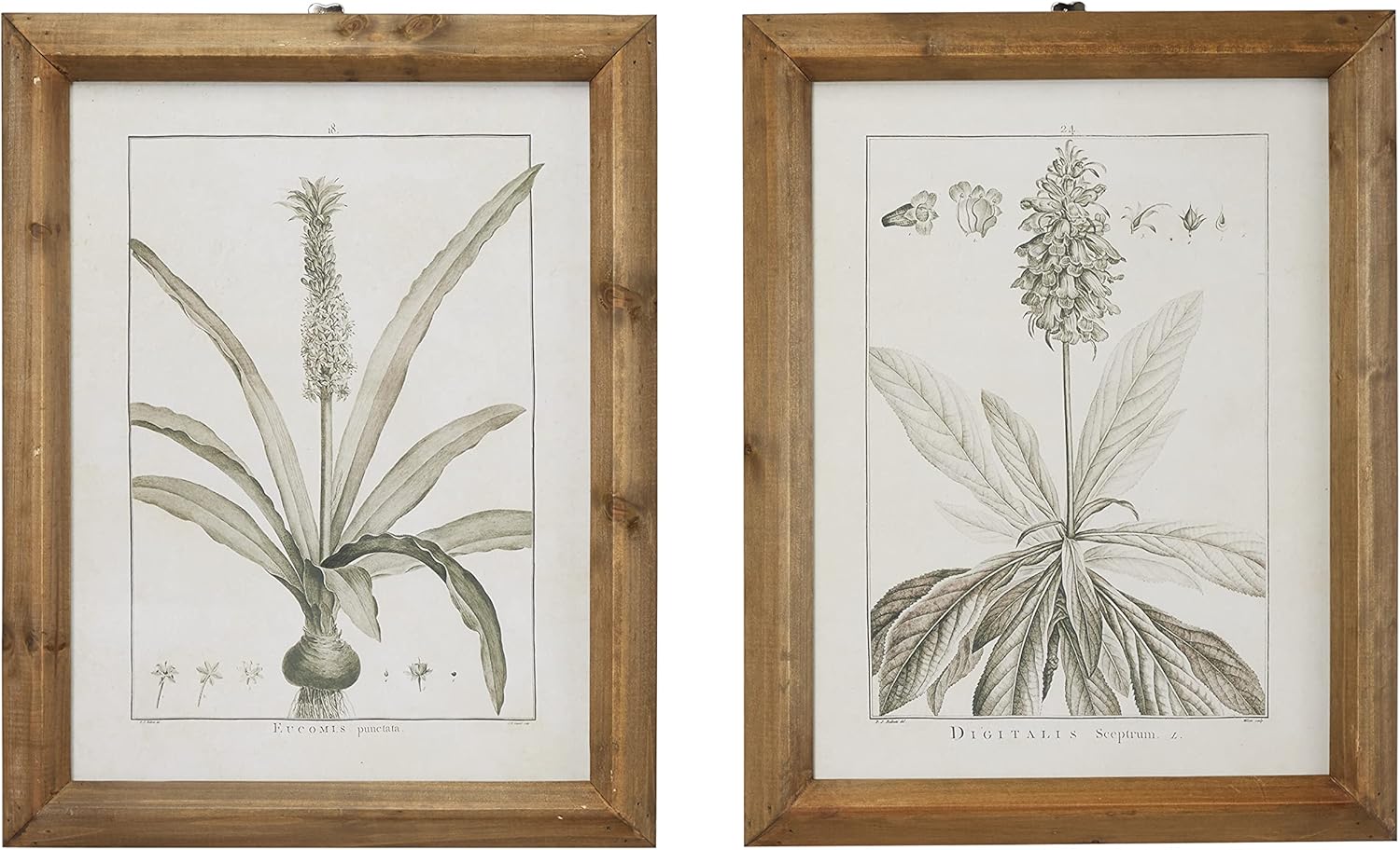 Light Brown and White Botanical Print Wall Art Set