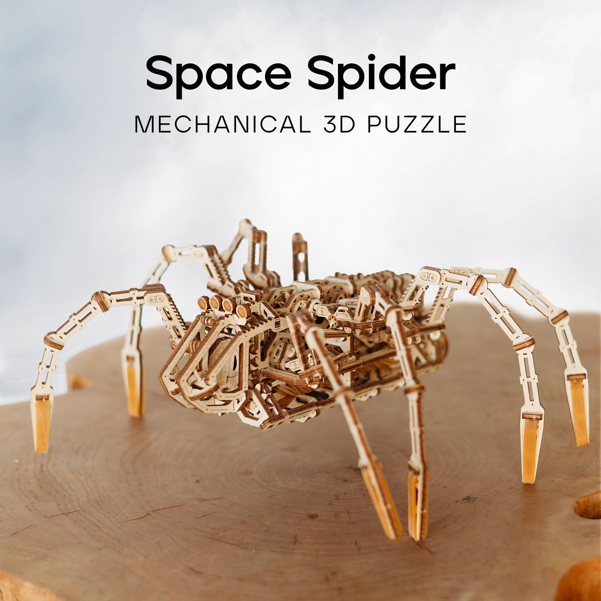 Amazon.co.jp: Wood Trick ウッドトリック スペーススパイダー 自走