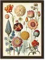 Artery8 Vintage Botanical Illustration Ernst Haeckel Style