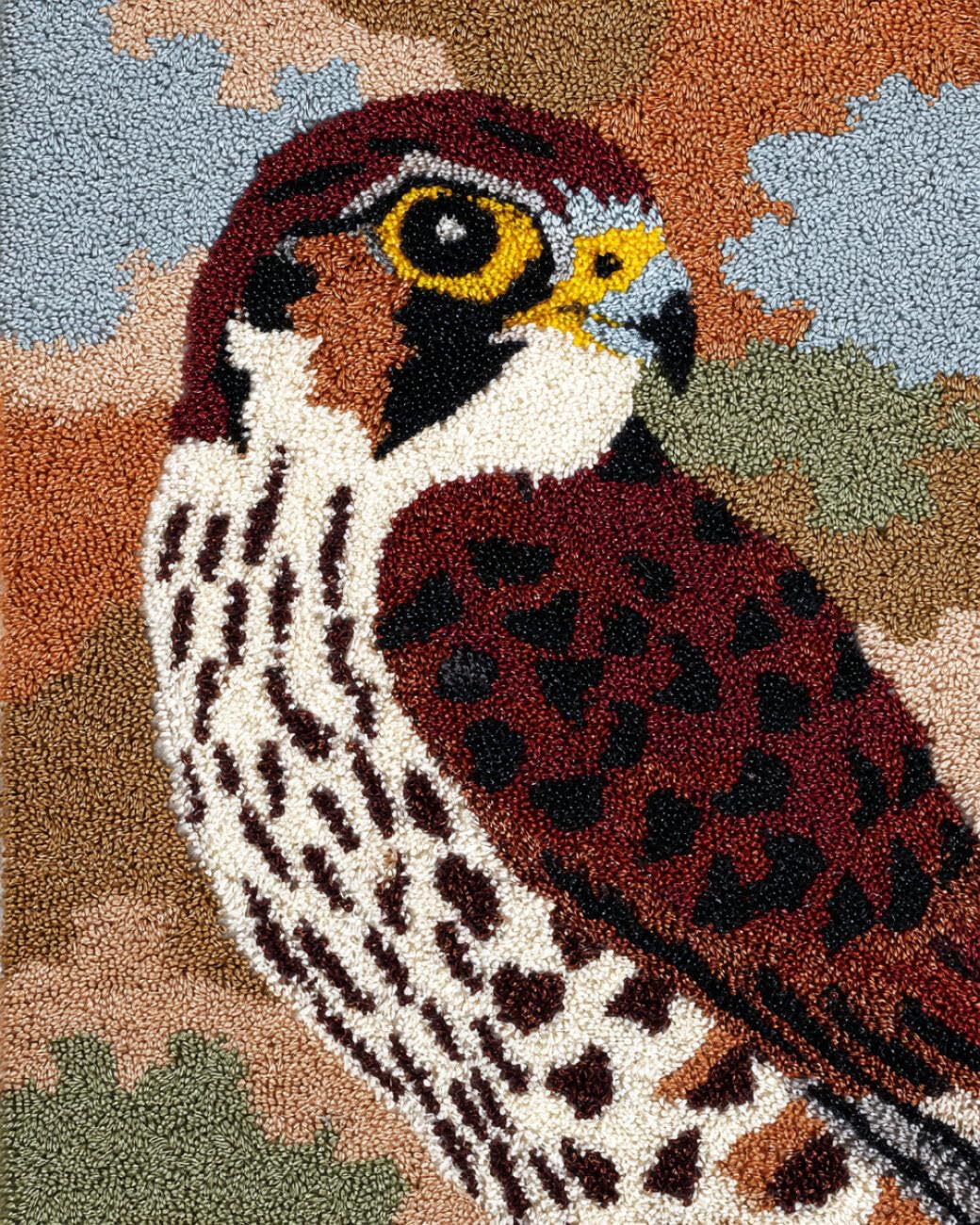 AMBATTERY Latch Hook Kits Carpet Cartoon Eagle 85x115cm