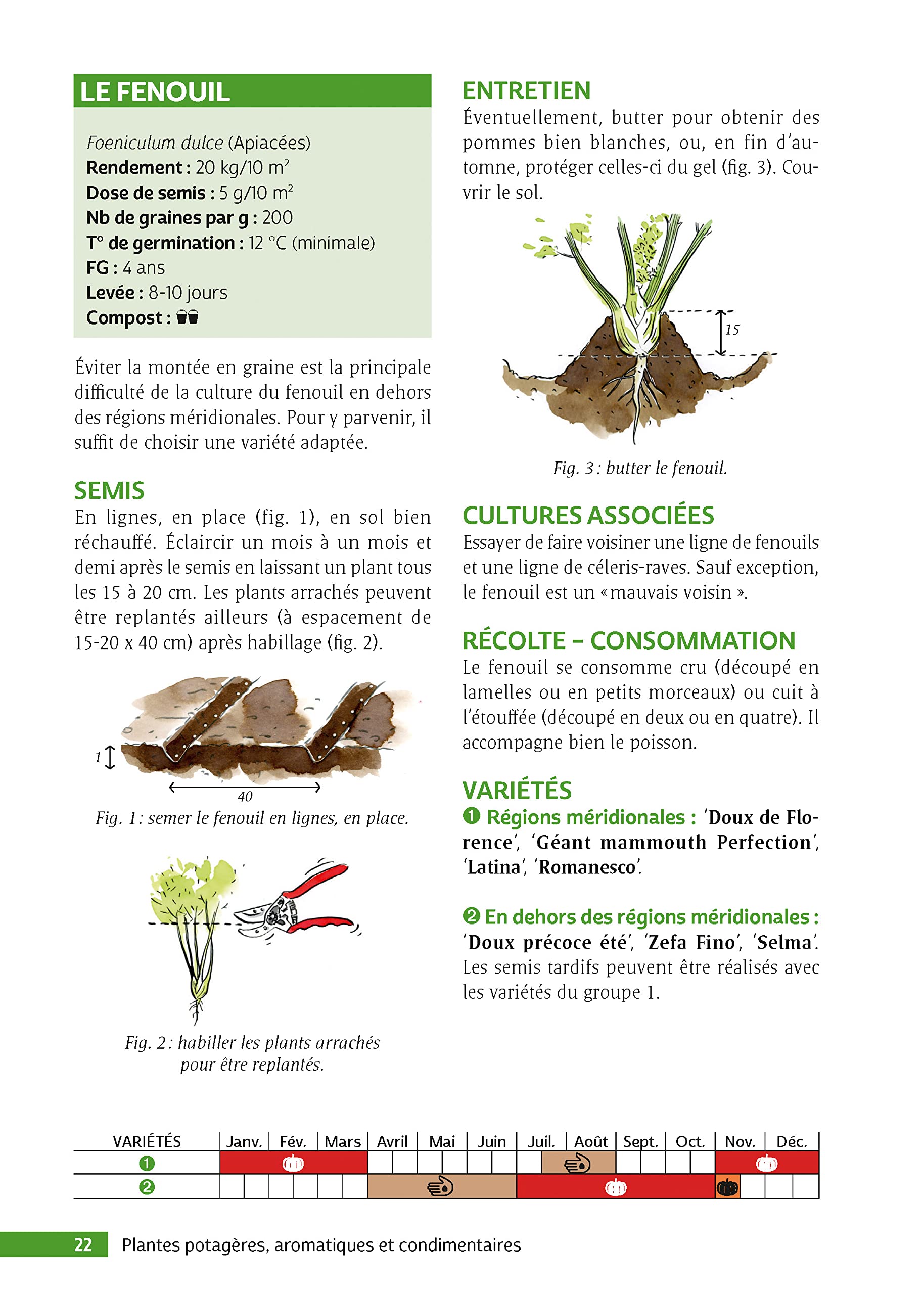 Le guide du jardin bio: Potager, verger, jardin d'ornement 4e édition