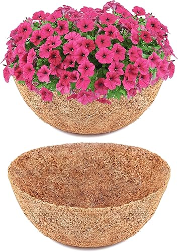 Y&M Juego de 2 cestas colgantes de fibra de coco preformadas de 10 pulgadas, forro de repuesto de coco, 2P